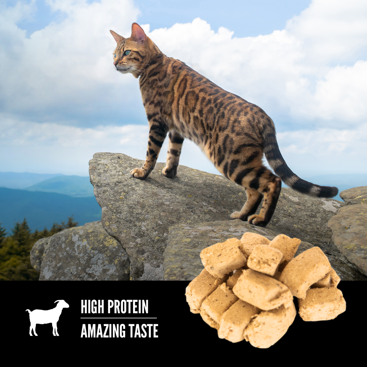 Tundra cat on sale food